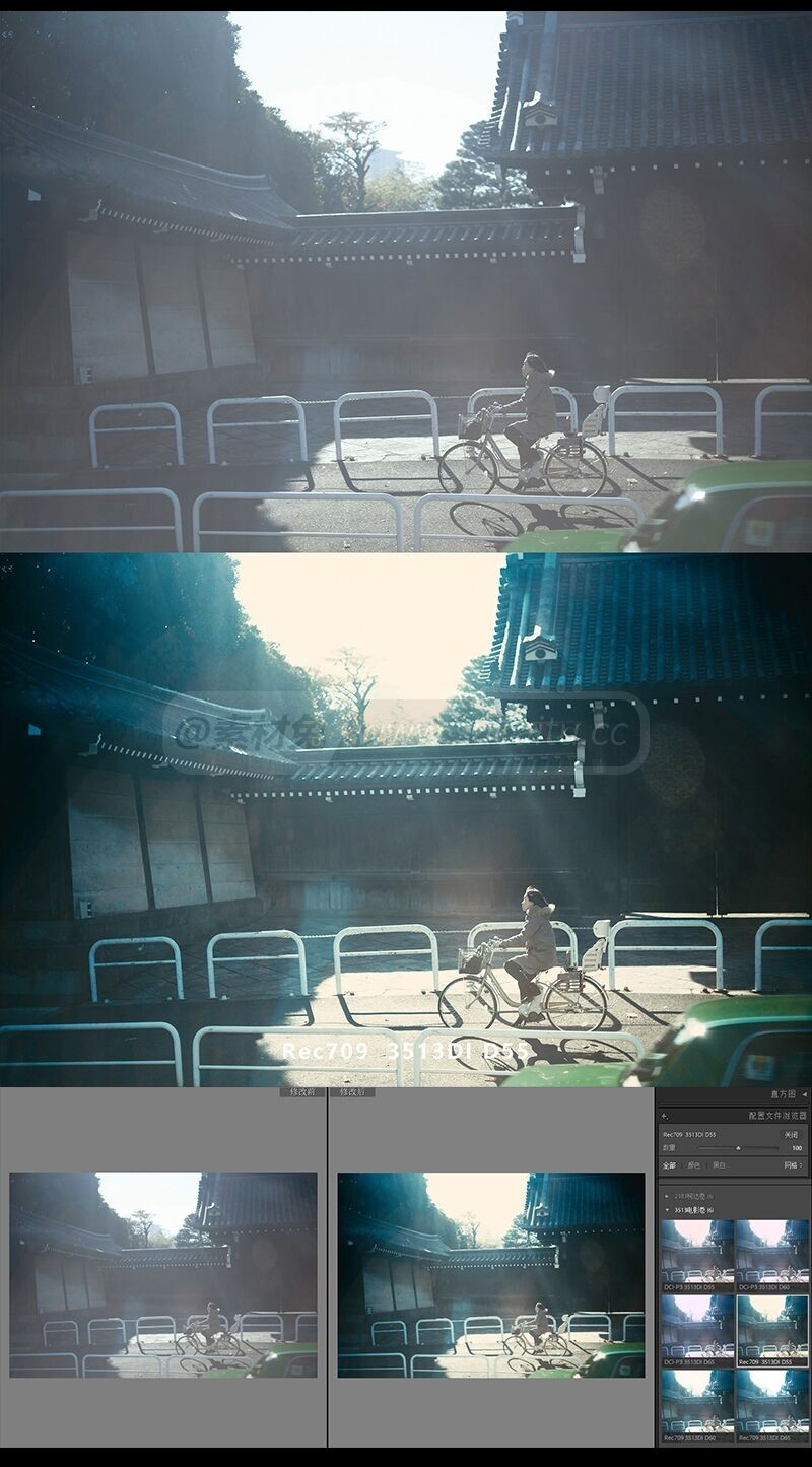 3513电影卷岩井俊二配置文件预设 LUTS 日系胶片电影卷PSCamera Raw预设LR预设