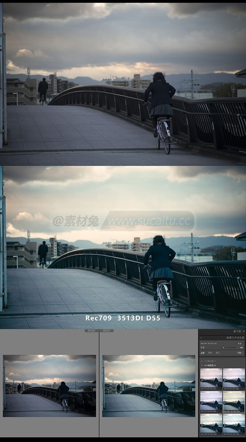 3513电影卷岩井俊二配置文件预设 LUTS 日系胶片电影卷PSCamera Raw预设LR预设