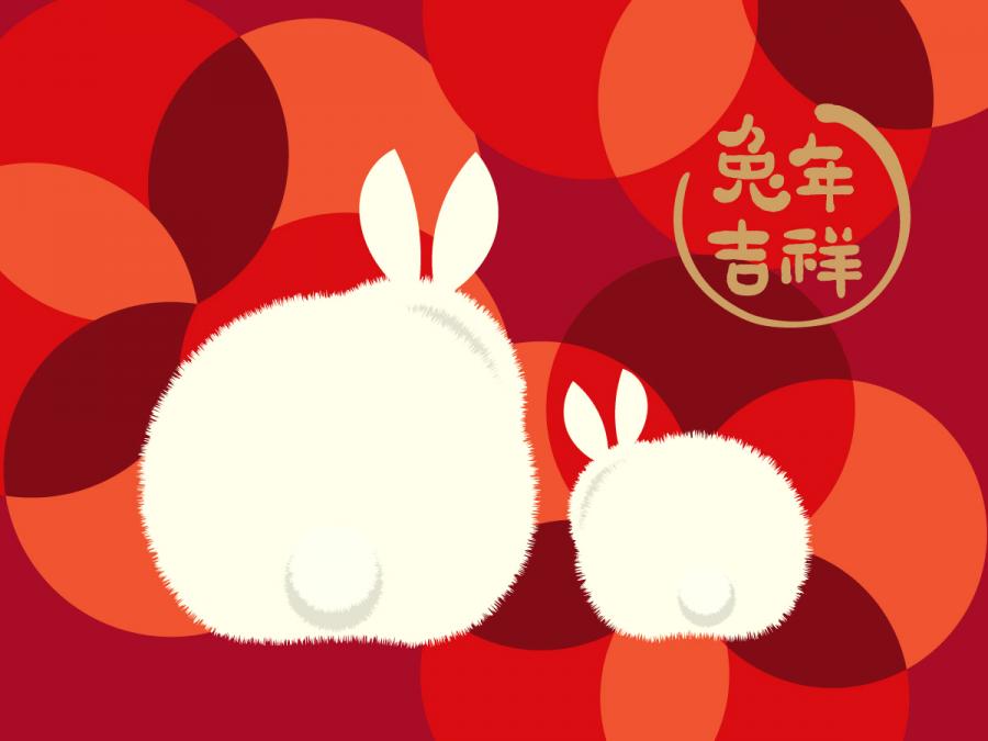 5款2023年兔年大吉恭贺新春新年快乐兔年吉祥如意插画海报AI矢量素材