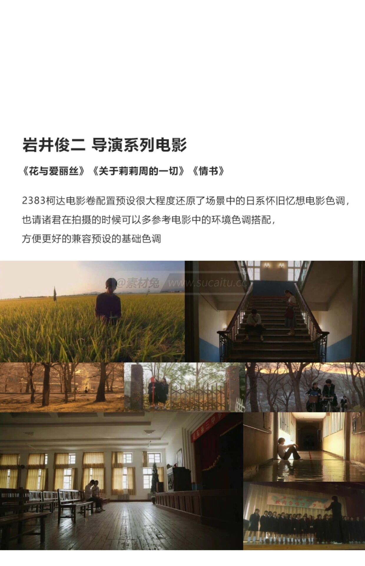 2383电影卷配置文件预设 LUTs 岩井俊二 日系柯达胶片PS滤镜Camera Raw预设