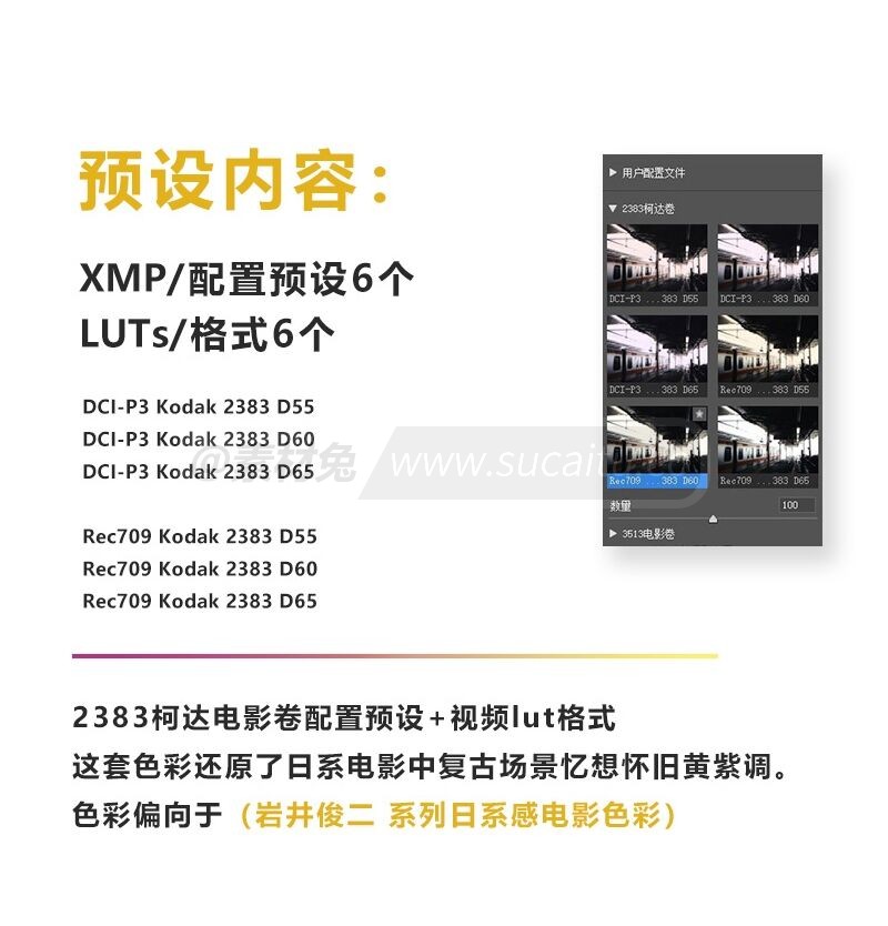 2383电影卷配置文件预设 LUTs 岩井俊二 日系柯达胶片PS滤镜Camera Raw预设