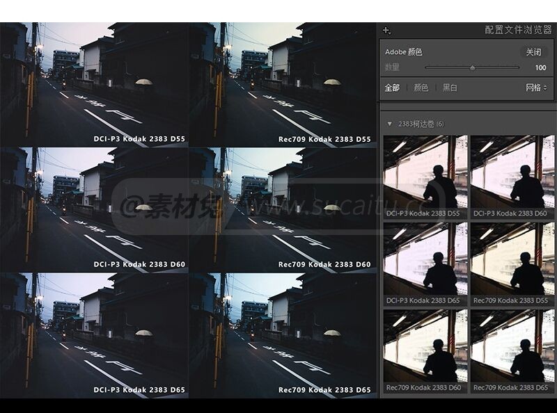 2383电影卷配置文件预设 LUTs 岩井俊二 日系柯达胶片PS滤镜Camera Raw预设