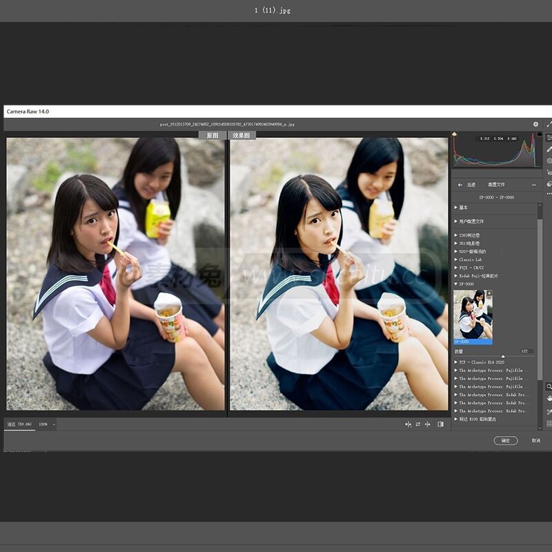 SP-3000扫描仪 配置文件预设 Camera Raw复古胶片预设 PS/LR滤镜