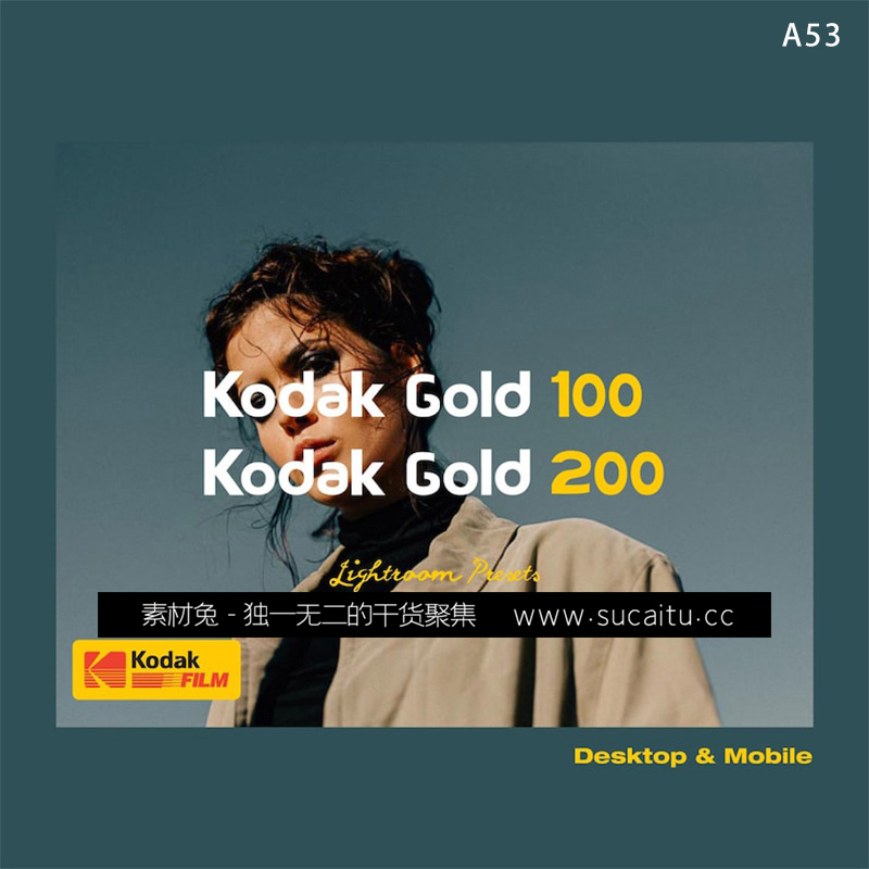 Kodak Gold 100 + 200胶卷人像LR预设PS滤镜PR/FCPX达芬奇剪映LUT