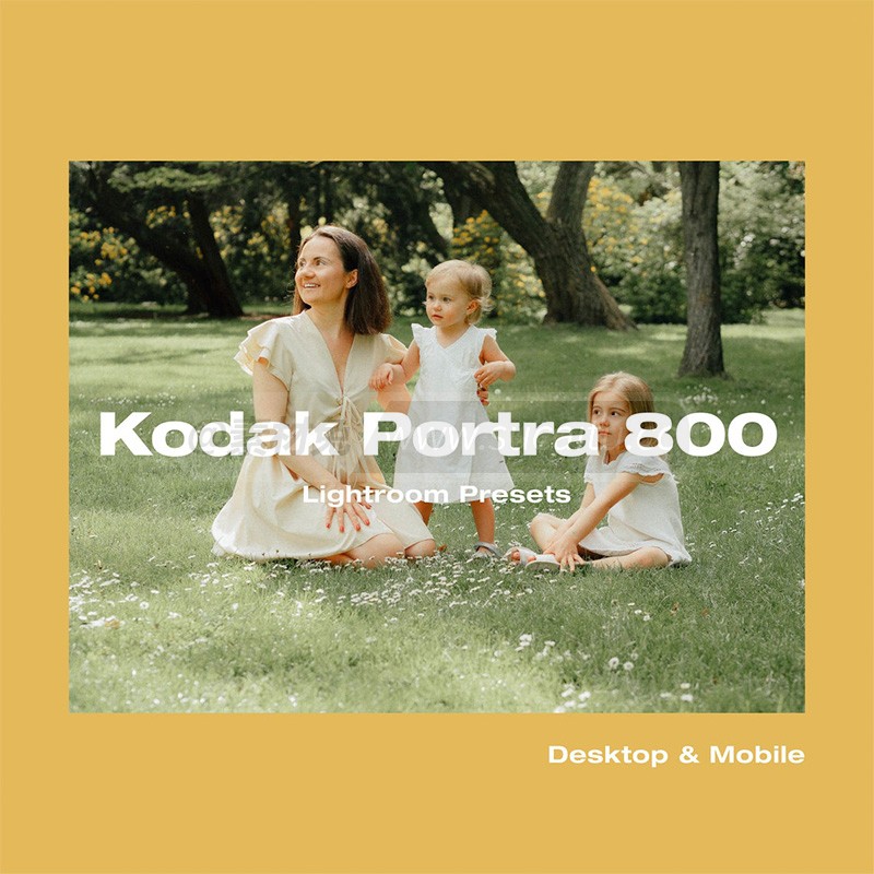 Kodak Portra 800胶片预设PR/FCPX达芬奇LUT手机LR胶卷Camera Raw预设