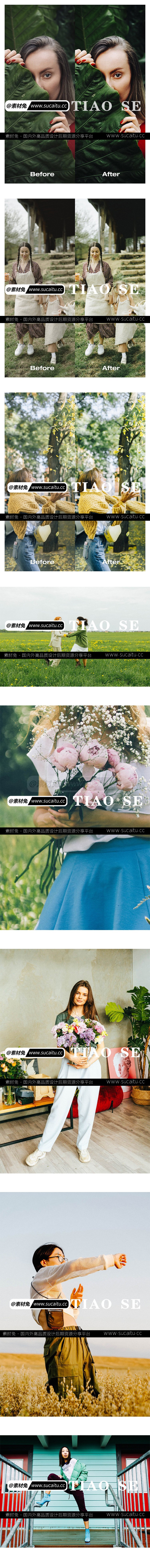 Kodak Portra 800胶片预设PR/FCPX达芬奇LUT手机LR胶卷Camera Raw预设