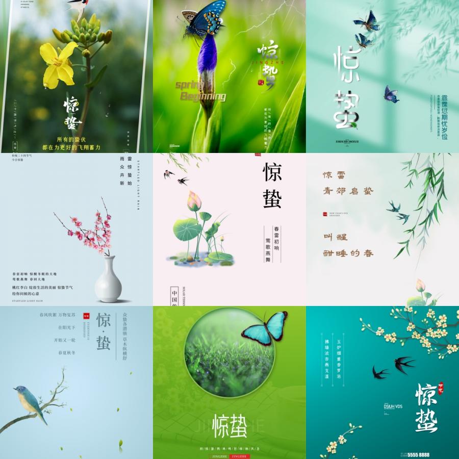 24二十四节气惊蛰春雷中国风国潮节日宣传海报模板PSD设计素材